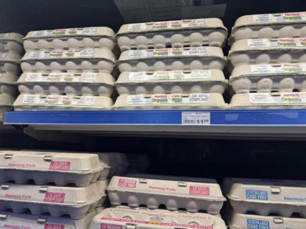 东南配资 当特朗普关税大棒“乱挥”，外贸人开始绝地反击