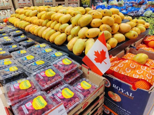 红腾网配资 “全民抵制”美国货！加拿大货架上掀起一场“枫叶”标签狂热