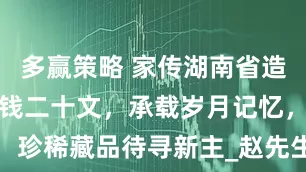 多赢策略 家传湖南省造双旗币当制钱二十文，承载岁月记忆，珍稀藏品待寻新主_赵先生_钱币_家族