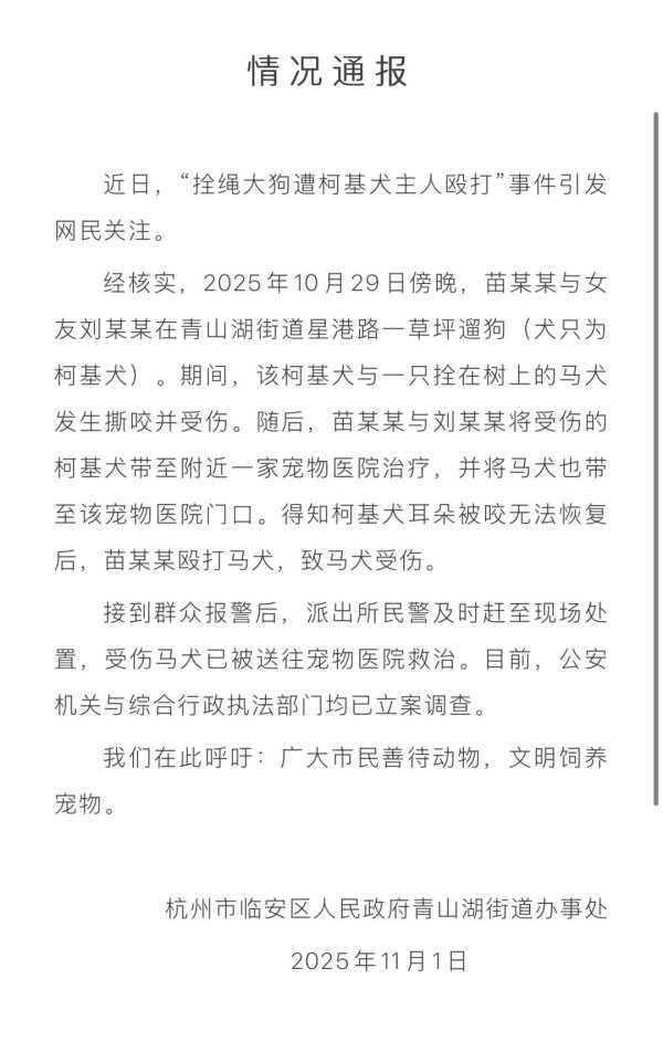 智股策略 拴绳大狗惨遭柯基主人砸酒瓶爆头，杭州官方最新通报：已立案调查